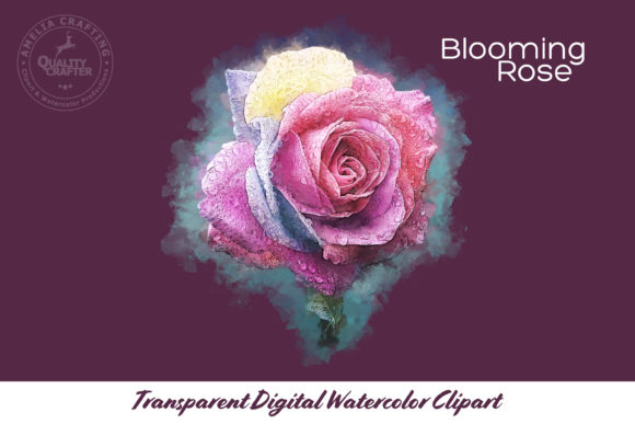 Blooming Rose Watercolor Illustration