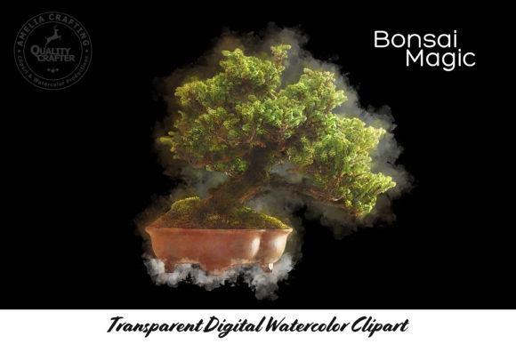 Bonsai Tree Magic Watercolor Clipart and Illustrations