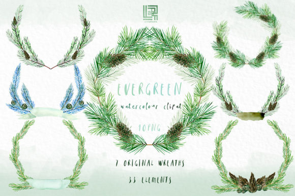 Evergreen. Forest Watercolour Collection
