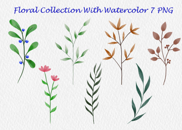 Floral Collection with Watercolor Illustrations