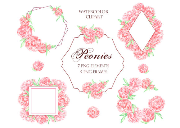 Peonies Watercolor Frame Bundle & Illustrations