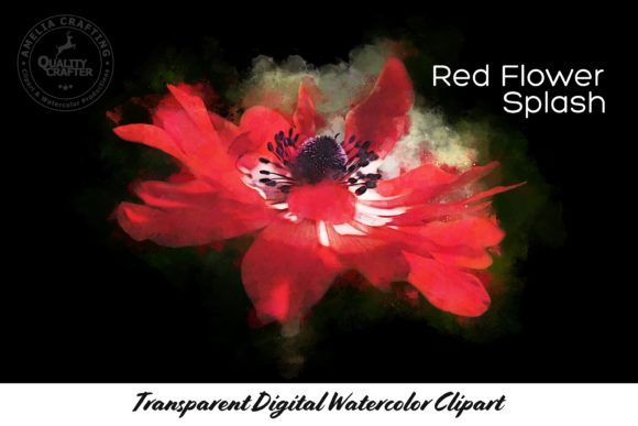 Red Flower Splash Watercolor Clipart and Illustrations