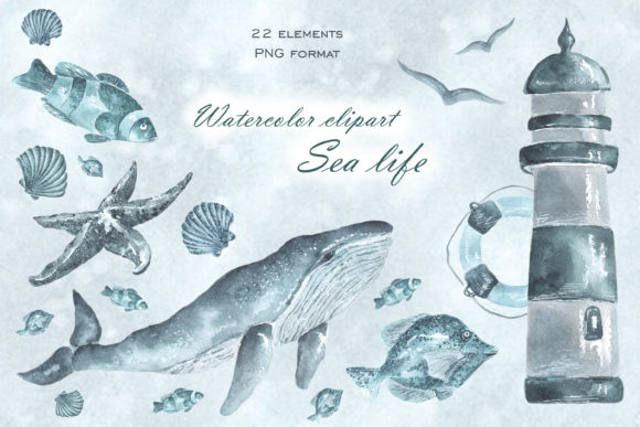 Sea Watercolor Clipart. Whales. Marine