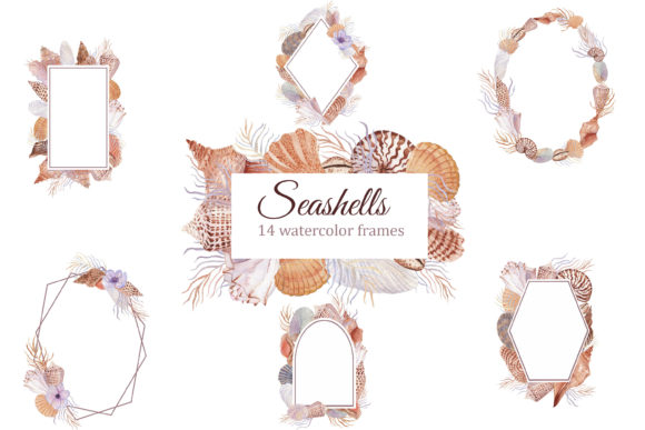 Seashell Watercolor Wreaths, Illustrations