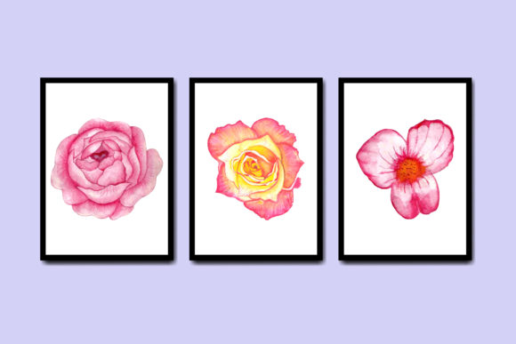 Summer Watercolor Flower Clipart Illustrations