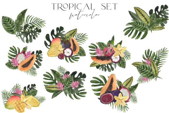 Tropical Watercolor Illustration Set Png