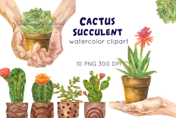 Watercolor Cute Cactus and Succulent Illustrations