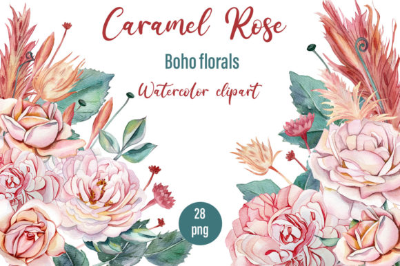 Watercolor Delicate Roses Clipart Illustrations