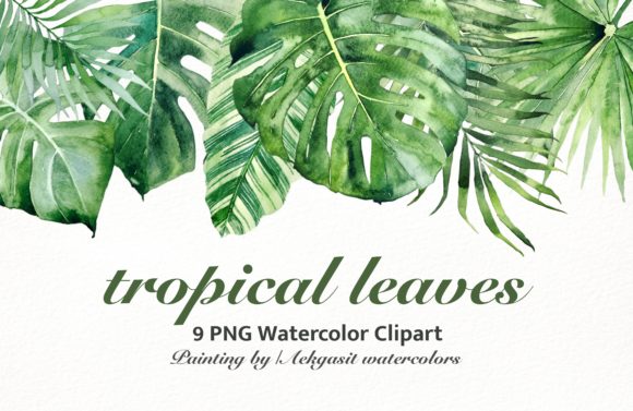 Watercolor Illustration Tropical Leaves