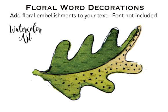 Watercolor Leaf Fancy Illustrations