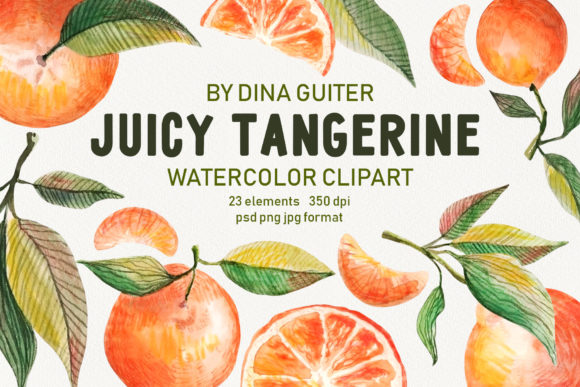 Watercolor Orange Tropical Fruit Clipart and Illustrations