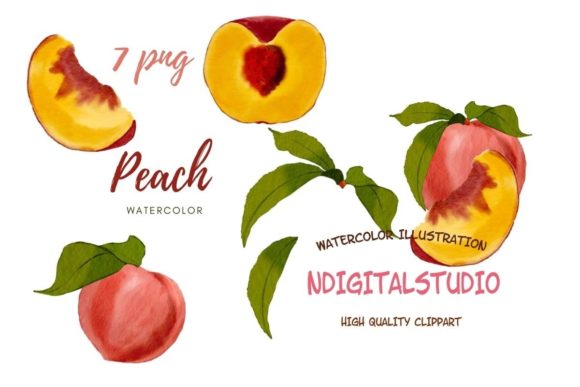 Watercolor Peach Clipart. Summer Fruit. Illustrations