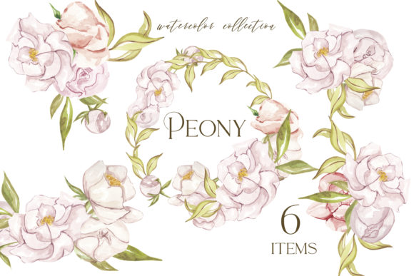 Watercolor Peony Clipart, Pink Blush Illustrations
