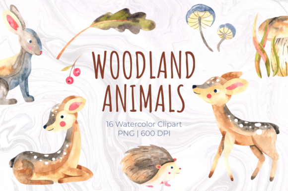 Woodland Animals. Watercolor Set
